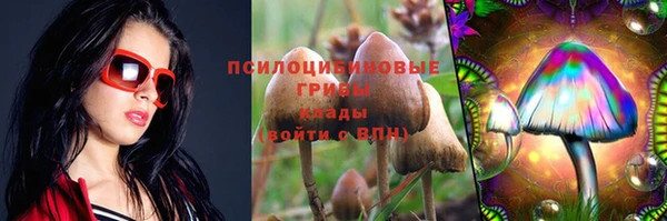 а пвп мука Навашино