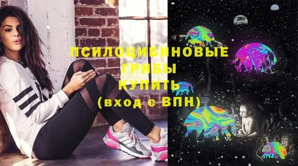 не бодяженный Надым