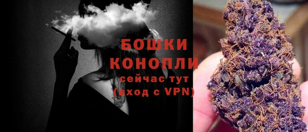не бодяженный Надым