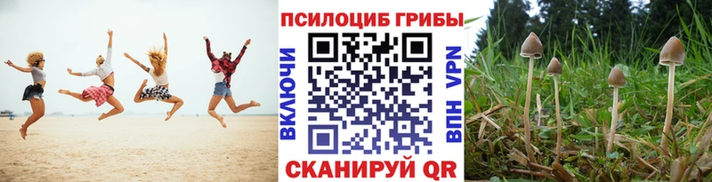 Галлюциногенные грибы MAGIC MUSHROOMS  Петушки 